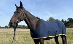 Chemise coton bio - Classique Multi Pack 2 Chemises Cheval