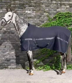 Best Chemise coton Reynosa Chemises Cheval