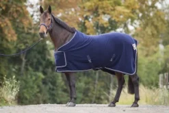 Online Chemise de présentation polaire Chemises Cheval