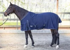 Best Chemise d'été Honeycomb - Harry's Horse - Poly/Coton Chemises Cheval