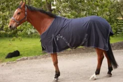 Hot chemise en coton  de chez JMRPRO Chemises Cheval