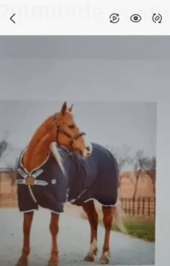 Online Chemise Hélix disc neuve Chemises Cheval