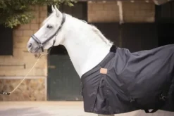 Online Chemise imperméable 0Gr Paddock Sport Chemises Cheval