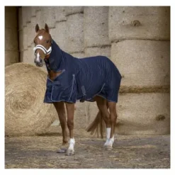 Best Chemise légère cool dry combo marine Chemises Cheval