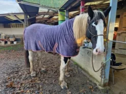 Chemise polaire Couvertures Cheval