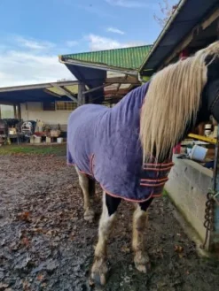 Chemise polaire Couvertures Cheval