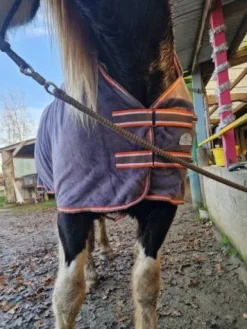 Chemise polaire Couvertures Cheval