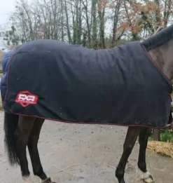 Hot Chemise polaire Chemises Cheval