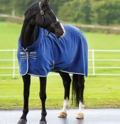 Discount Chemise Polaire Cosy Chemises Cheval