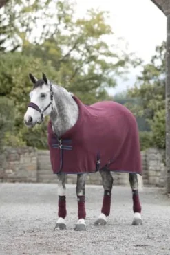 Discount Chemise Polaire Cosy Chemises Cheval