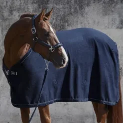Discount Chemise polaire Platinum 2022 - Chemises Cheval