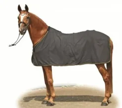 Sale Chemise polaire Séchante Chemises Cheval