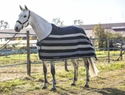 Clearance Chemise polaire Steven Chemises Cheval