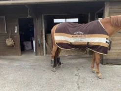 Chemise pour cheval Chemises Cheval