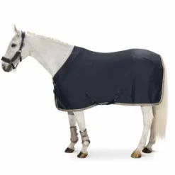 Discount Chemise séchante en jersey Aerial Classic Sports 2021 - Chemises Cheval