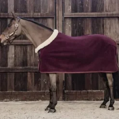 Outlet Chemise séchante Show Heavy - Kentucky Chemises Cheval