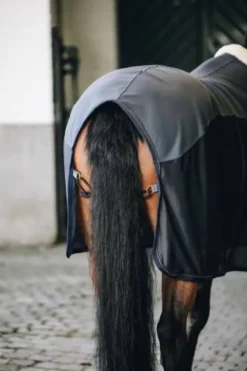 Discount Chemise séchante Softshell - Kentucky Chemises Cheval