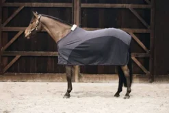 Discount Chemise séchante Softshell - Kentucky Chemises Cheval