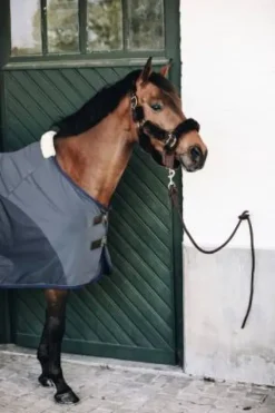 Discount Chemise séchante Softshell - Kentucky Chemises Cheval