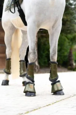 Cloches Evening Haze - Cloches Et Protèges-Glomes