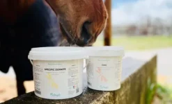 Outlet CMV en poudre Forme Et Performances·Vitamines Et Minéraux