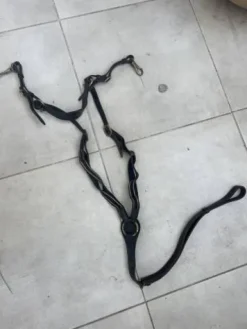 Discount Collier de chasse Enrênements·Collier De Chasse