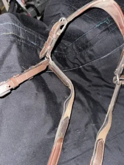 Collier de chasse Enrênements·Collier De Chasse