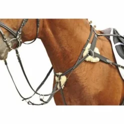 Outlet Collier de chasse 5 points Enrênements·Collier De Chasse