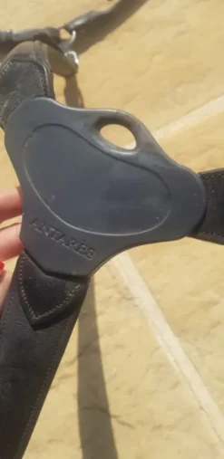 Best Collier de chasse Antares Enrênements·Collier De Chasse