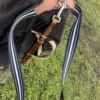 Best Collier de chasse Antares Enrênements·Collier De Chasse