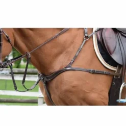 Clearance Collier de chasse cinq points et martingale - Jump'In Enrênements·Collier De Chasse