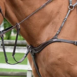 Best Collier de chasse cinq points et martingale - Jump'in Enrênements·Collier De Chasse