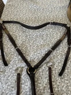 Hot Collier de chasse Enrênements·Collier De Chasse