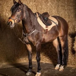 Online Collier de chasse Deluxe - Harry's Horse Enrênements·Collier De Chasse