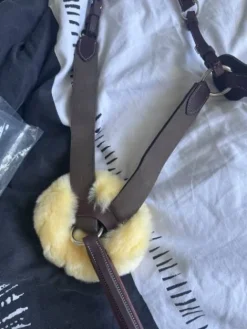 Best Collier de chasse Enrênements·Collier De Chasse