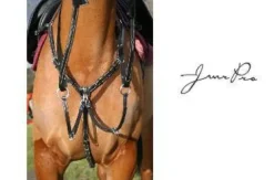 New Collier de chasse en cuir, Enrênements·Collier De Chasse