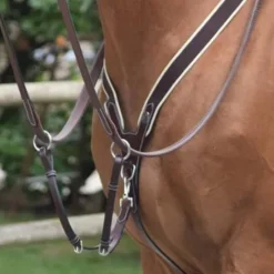 Hot Collier de chasse élastique et martingale - Jump'in Enrênements·Collier De Chasse