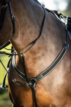 Online Collier de chasse élastique avec martingale noir / noir Enrênements·Collier De Chasse