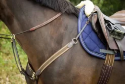 Collier de chasse élastique avec martingale noir / marine Enrênements·Collier De Chasse