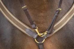 Collier de chasse élastique avec martingale noir / marine Enrênements·Collier De Chasse