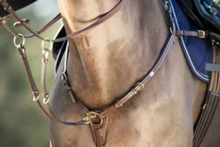 Sale Collier de chasse Long Bridge Enrênements·Collier De Chasse