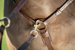 Sale Collier de chasse Long Bridge Enrênements·Collier De Chasse