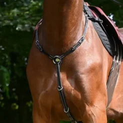 Hot Collier de chasse Monday - Collection Week - Jump'in Enrênements·Collier De Chasse