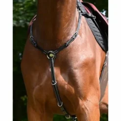 Hot Collier de chasse Monday - Collection Week - Jump'in Enrênements·Collier De Chasse