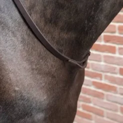 Hot Collier de martingale - Cuir Brun Enrênements·Enrênements Fixe|Enrênements·Martingale