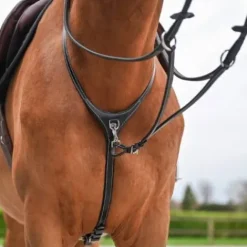 Outlet Collier et martingale amovible - Jump'In - Collection One Premium Enrênements·Martingale