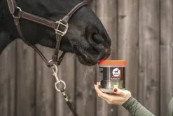 Online Complément alimentaire bronches Hamba Vet - Appareil Respiratoire·Difficultés Respiratoires