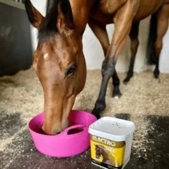 New Complément alimentaire électrolytes Electro Salts - Forme Et Performances·Electrolyte Cheval