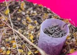 Online Complément alimentaire pour cheval Nutrilife + - Laboratoire Forme Et Performances·Vitamines Et Minéraux