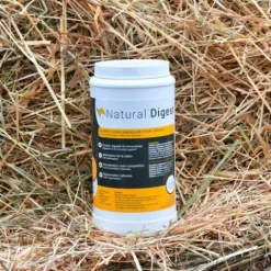 Sale Complément alimentaire Prébiotique Natural'Digest - Appareil Digestif·Flore Intestinale
